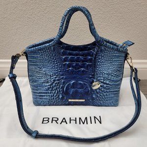 Brahmin Purse